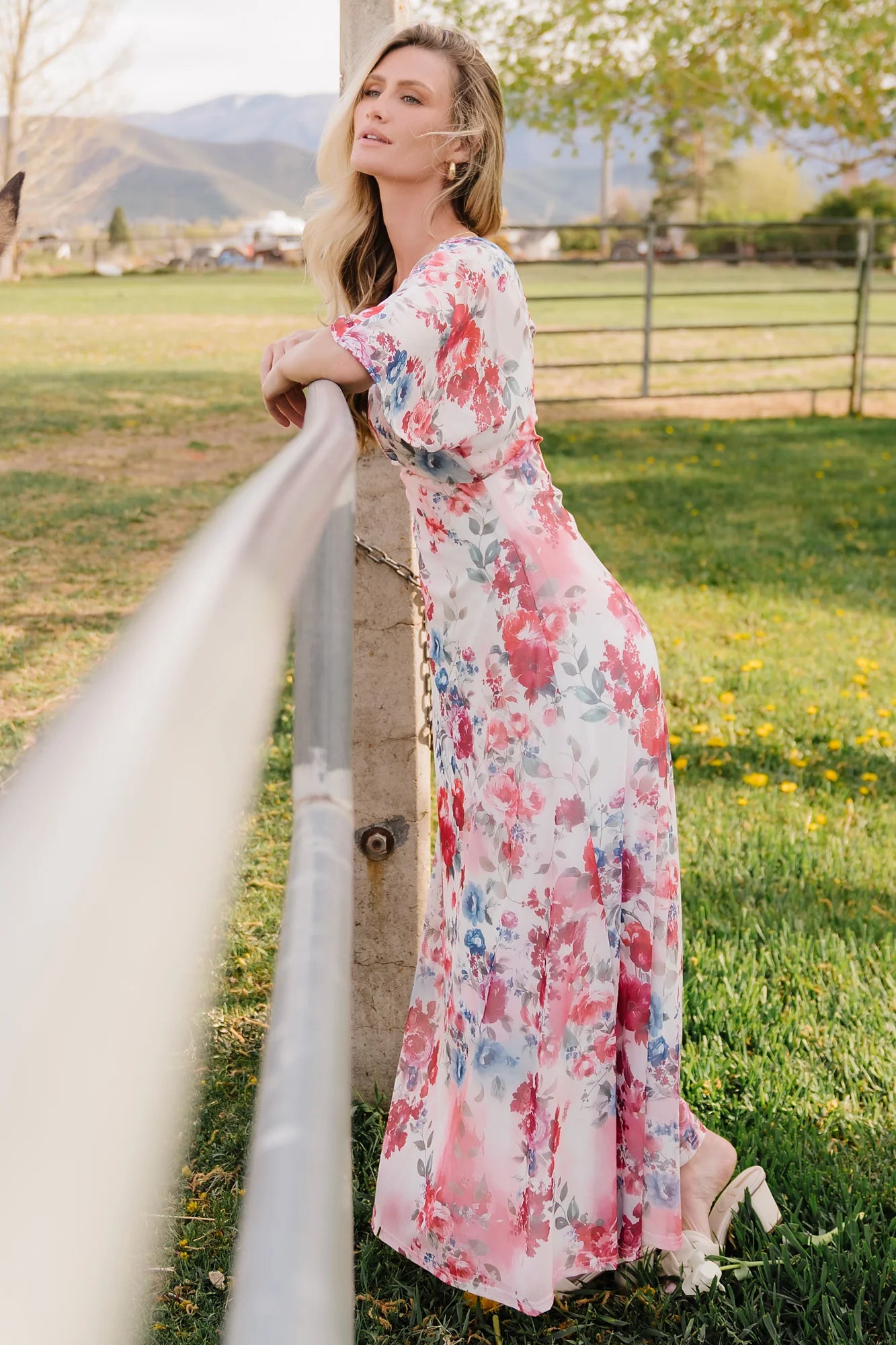 Sevilla Mesh Maxi Dress | Berry Multi Floral